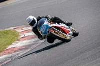 brands-hatch-photographs;brands-no-limits-trackday;cadwell-trackday-photographs;enduro-digital-images;event-digital-images;eventdigitalimages;no-limits-trackdays;peter-wileman-photography;racing-digital-images;trackday-digital-images;trackday-photos